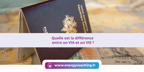 Quelle est la différence entre un VIA et un VIE