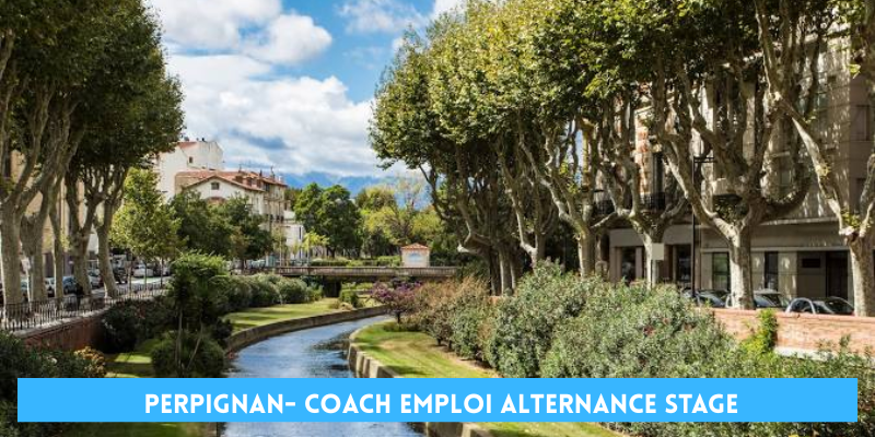 coach recherche emploi perpignan