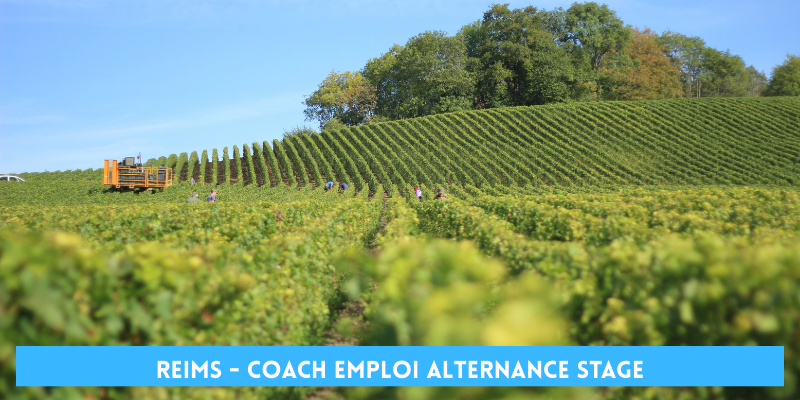 coach recherche emploi reims