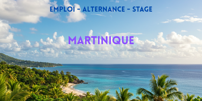 offres emploi region martinique
