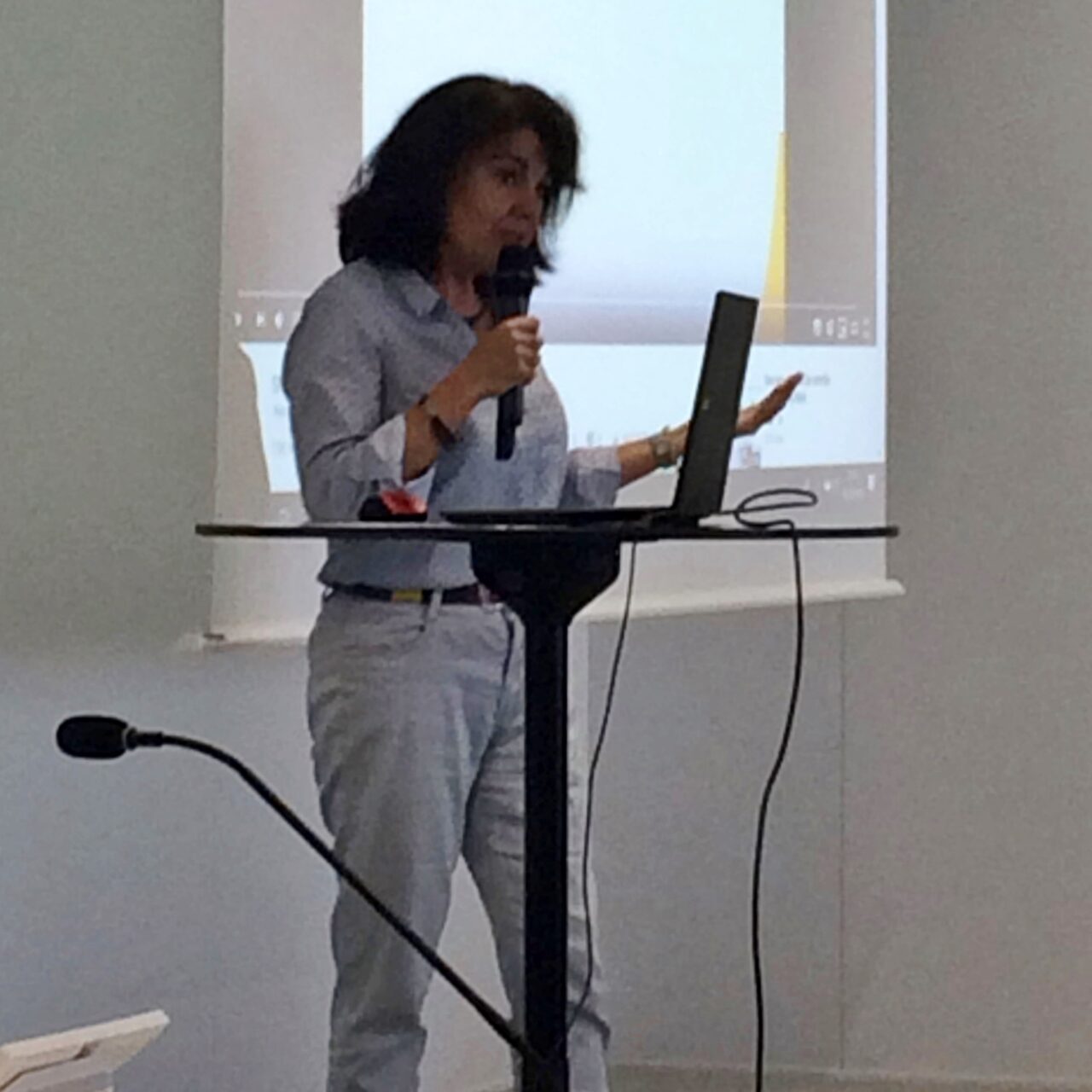 Ana Fernandez - conférence SNCF 1 Ana Fernandez - conférence SNCF 1